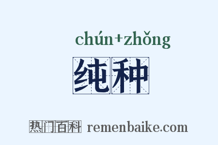纯种是什么意思的图片